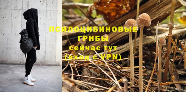 хмурый Алексеевка