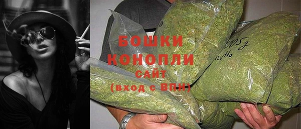 мет Протвино