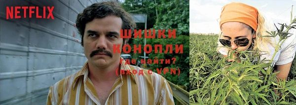 дживик Алзамай