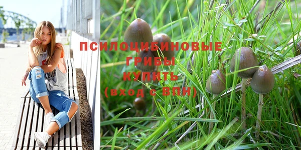 дживик Алзамай